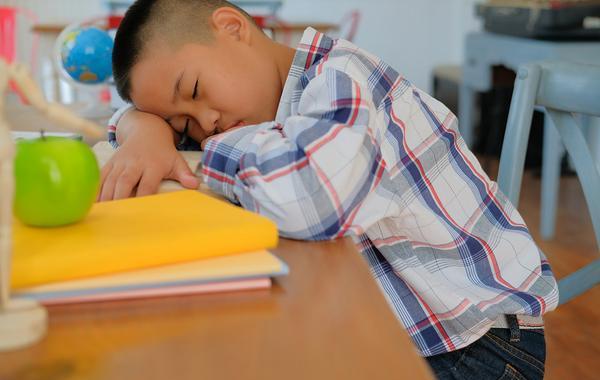Young teen sleeping at his desk.